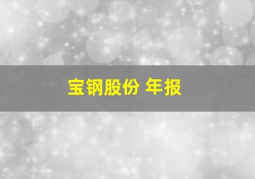 宝钢股份 年报